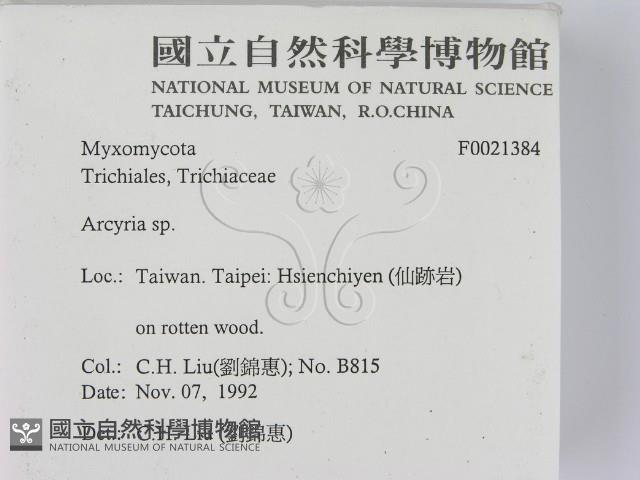 登錄號:F0021384藏品圖，第2張