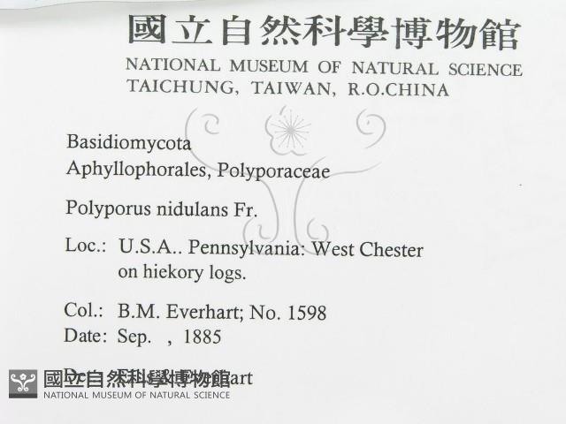 登錄號:F0011384藏品圖，第2張