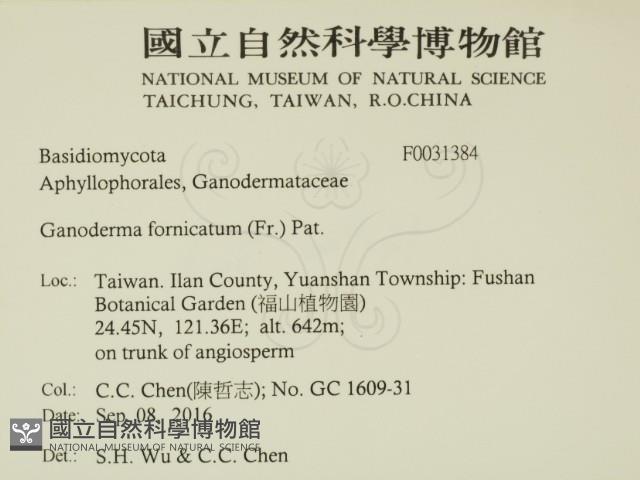 登錄號:F0031384藏品圖，第2張