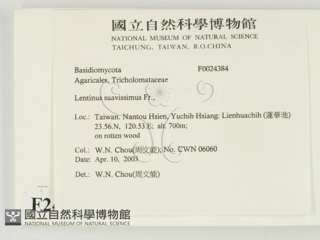 登錄號:F0024384藏品圖，第2張