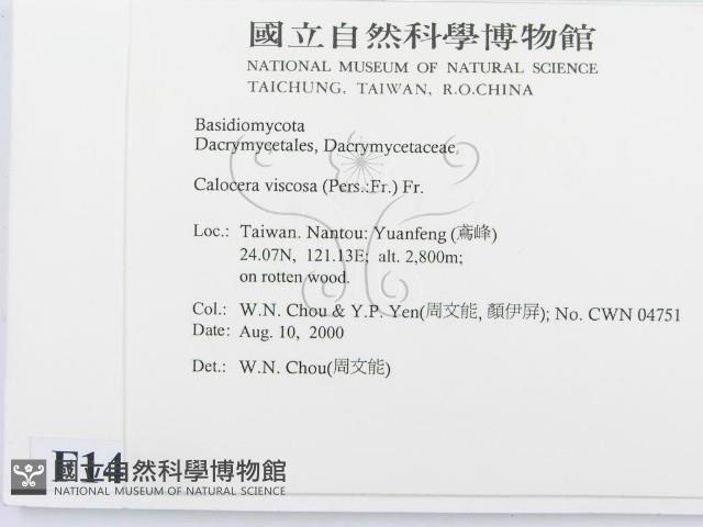 登錄號:F0014384藏品圖，第2張