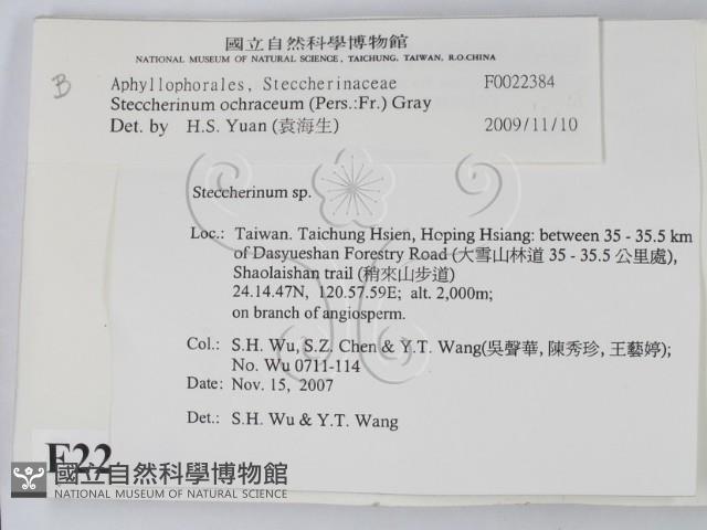 登錄號:F0022384藏品圖，第2張