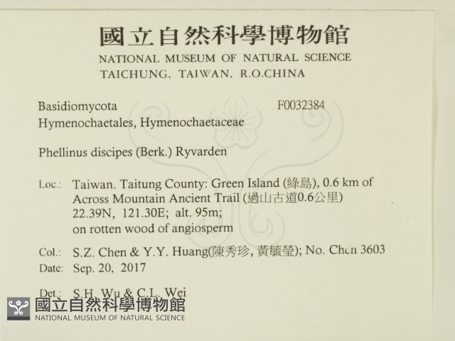 登錄號:F0032384藏品圖，第2張