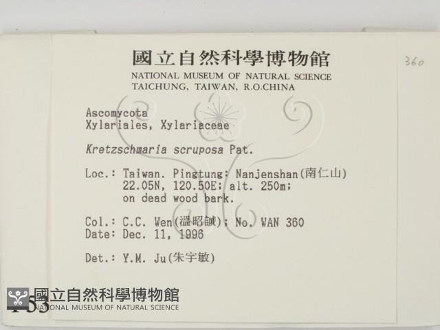 登錄號:F0005384藏品圖，第2張