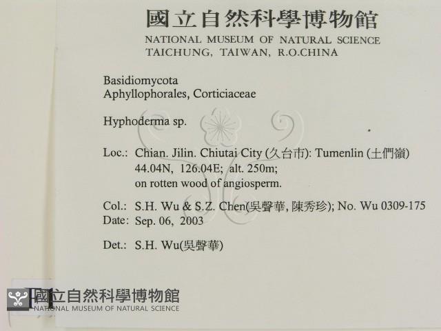 登錄號:F0015384藏品圖，第2張