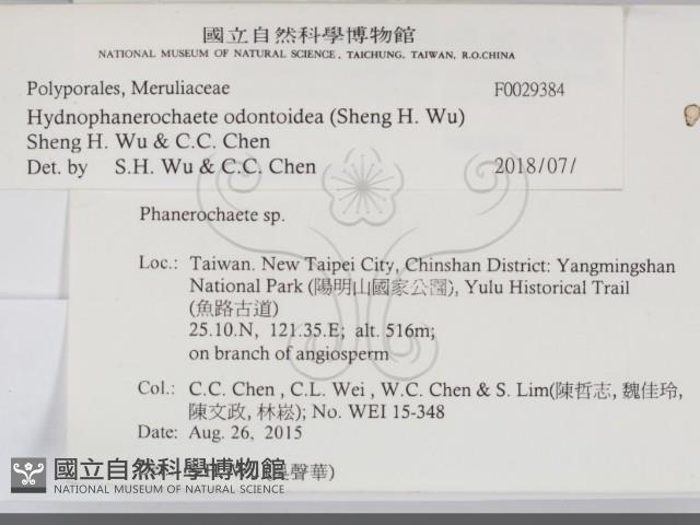 登錄號:F0029384藏品圖，第2張