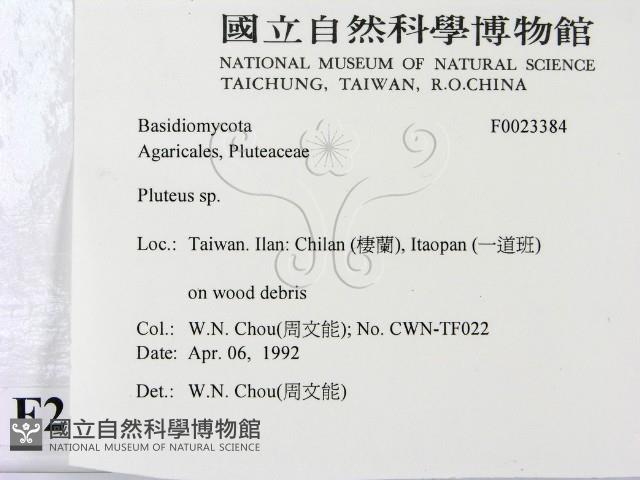 登錄號:F0023384藏品圖，第2張