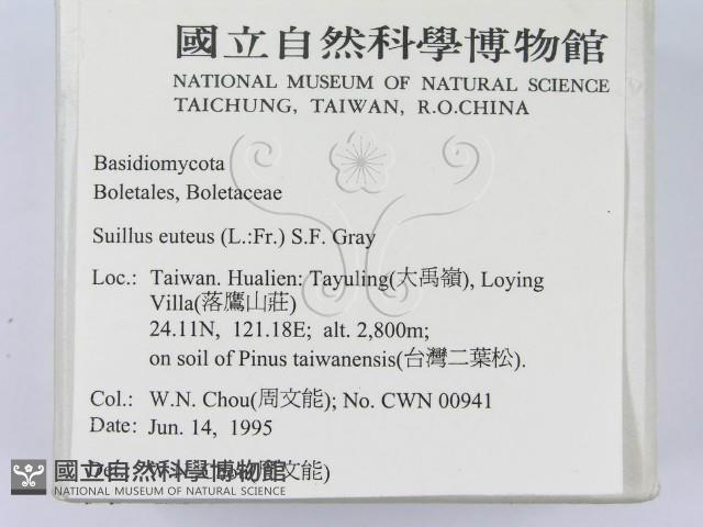 登錄號:F0003384藏品圖，第2張