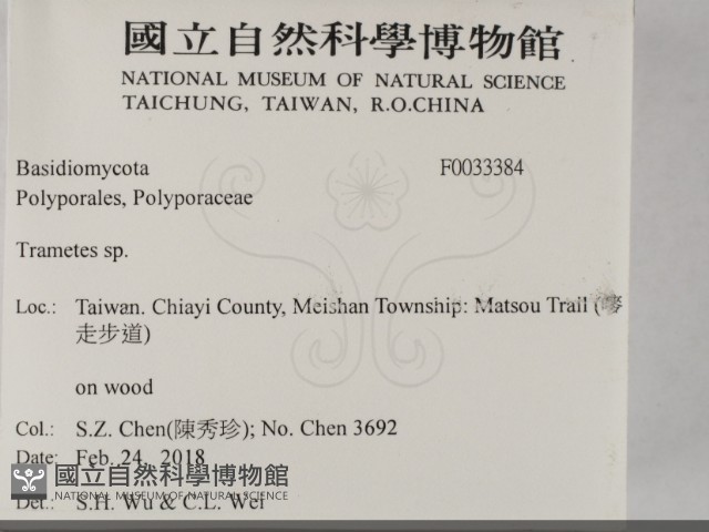 栓菌屬藏品圖，第2張