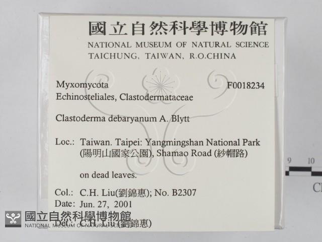 登錄號:F0018234藏品圖，第2張