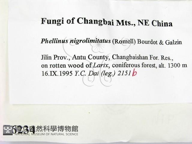 登錄號:F0006234藏品圖，第2張