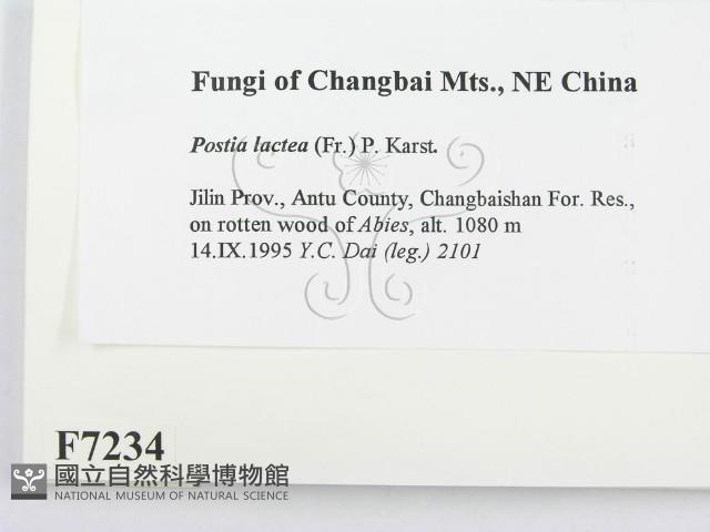 登錄號:F0007234藏品圖，第2張