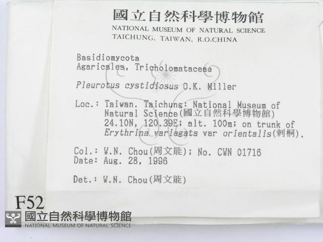 登錄號:F0005234藏品圖，第2張