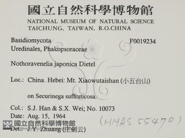 登錄號:F0019234藏品圖，第2張