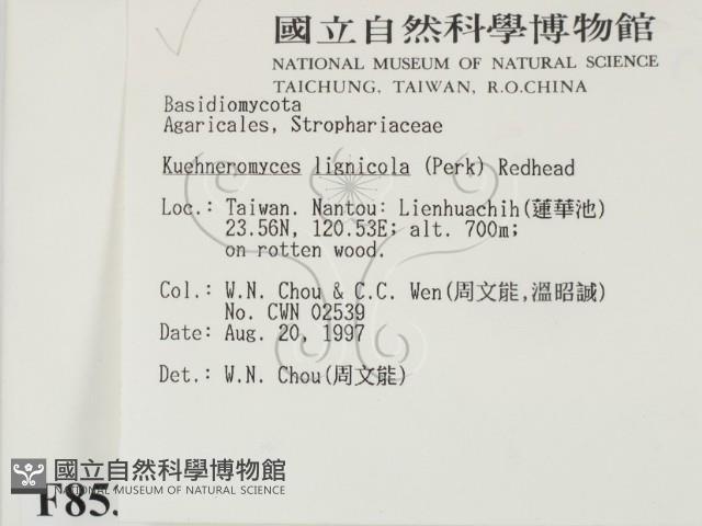 登錄號:F0008534藏品圖，第2張