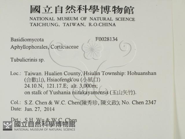 登錄號:F0028134藏品圖，第2張
