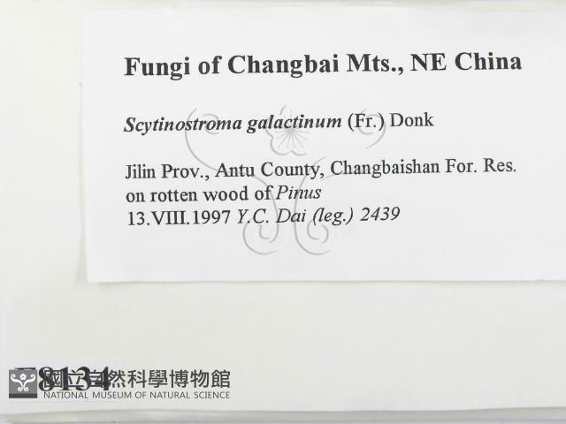 登錄號:F0008134藏品圖，第2張