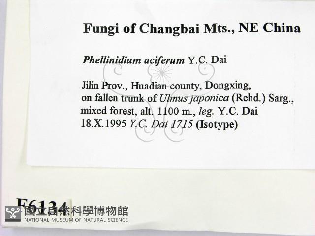 登錄號:F0006134藏品圖，第2張