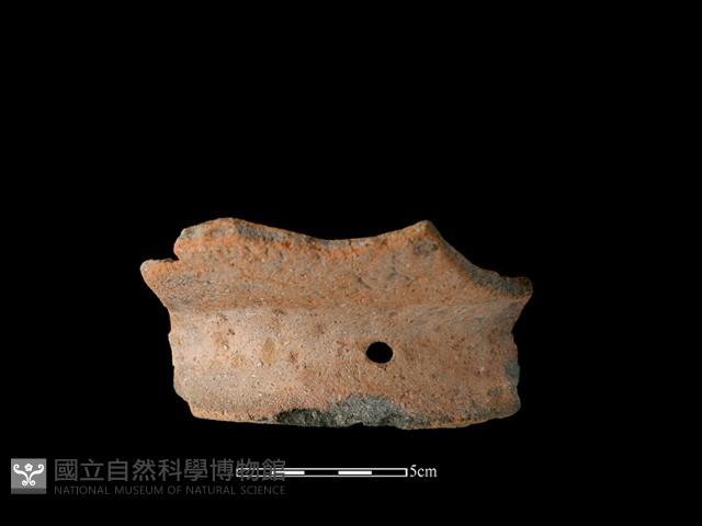 陶罐藏品圖，第1張