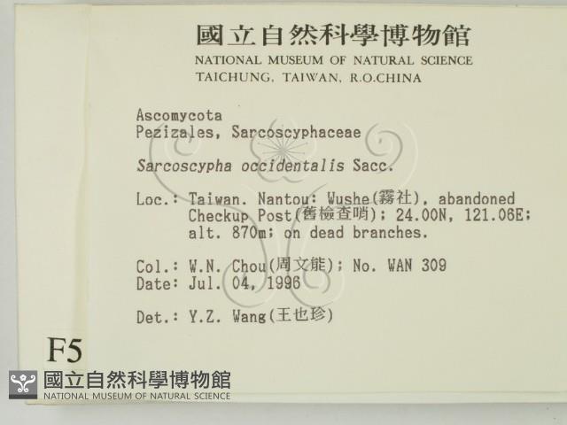 登錄號:F0005134藏品圖，第2張