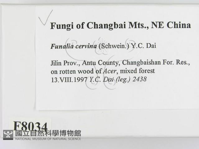 登錄號:F0008034藏品圖，第2張