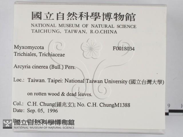 登錄號:F0018034藏品圖，第2張