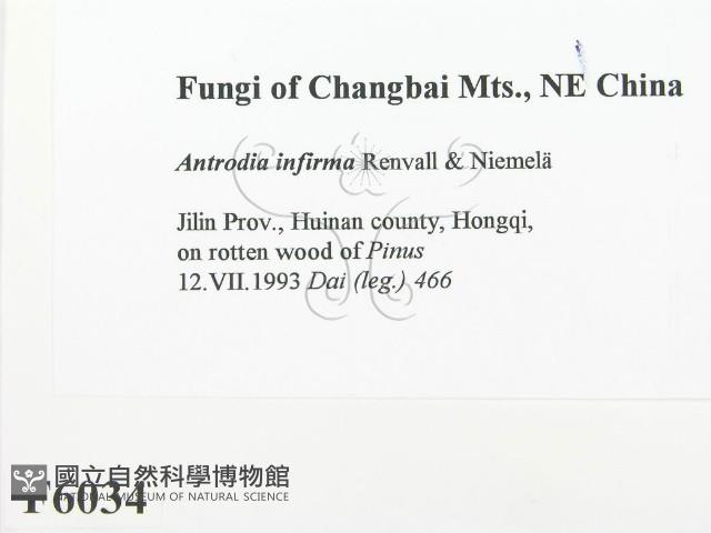 登錄號:F0006034藏品圖，第2張