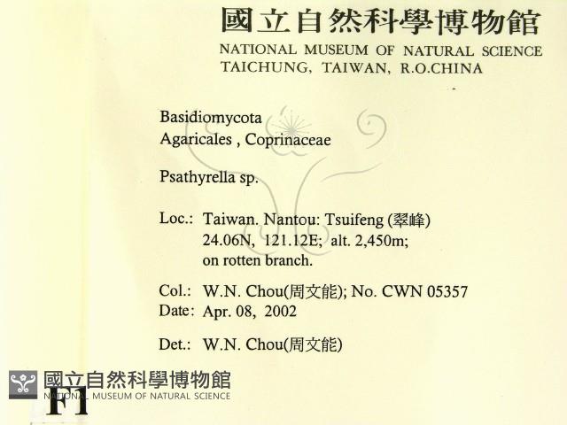 登錄號:F0016034藏品圖，第2張