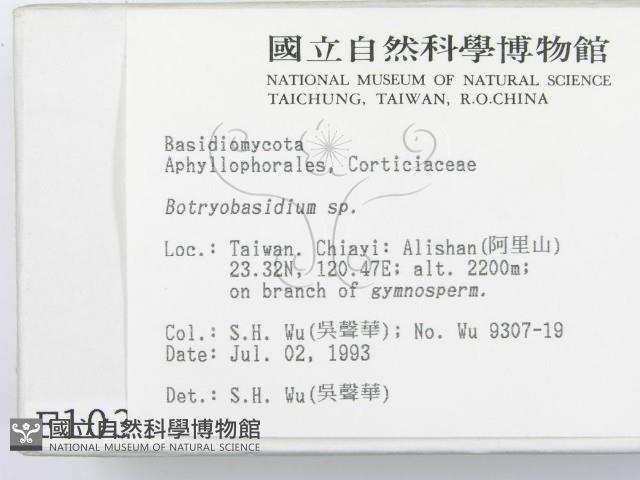 登錄號:F0001034藏品圖，第2張