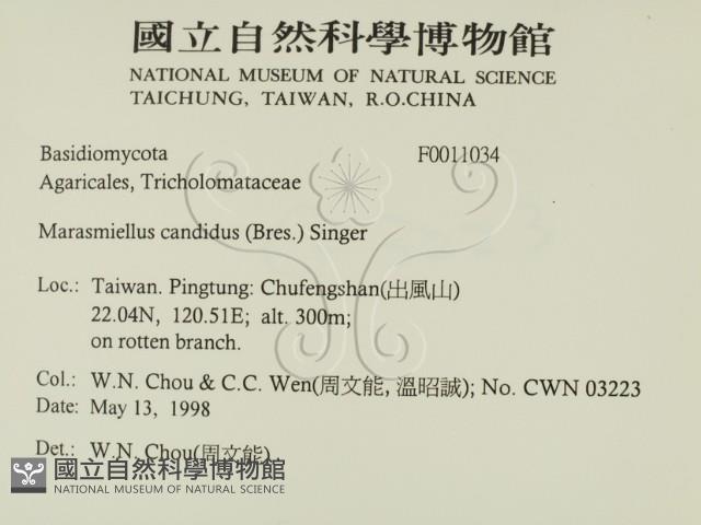 登錄號:F0011034藏品圖，第2張