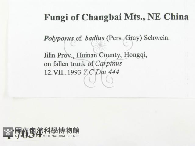 登錄號:F0007034藏品圖，第2張