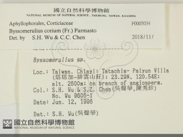 登錄號:F0005034藏品圖，第2張