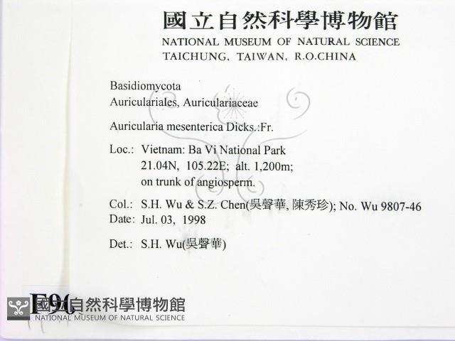 登錄號:F0009034藏品圖，第2張
