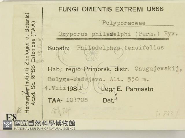 登錄號:F0008334藏品圖，第2張