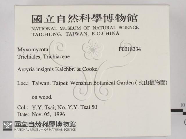 登錄號:F0018334藏品圖，第2張