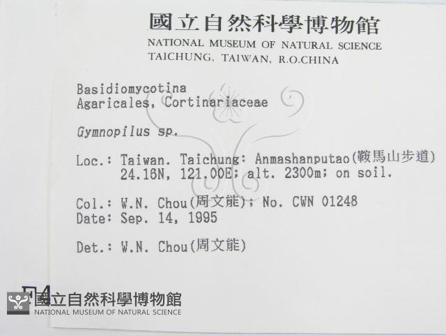登錄號:F0004334藏品圖，第2張