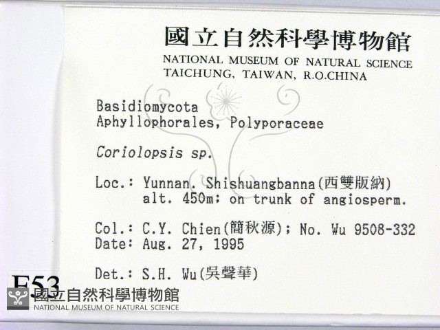 登錄號:F0005334藏品圖，第2張