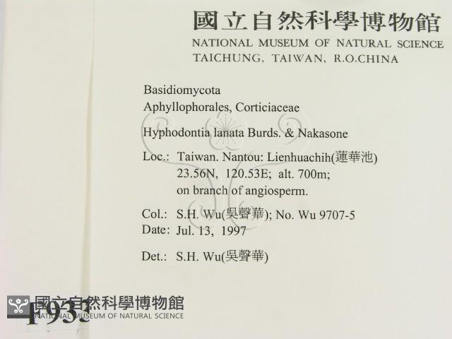 登錄號:F0009334藏品圖，第2張