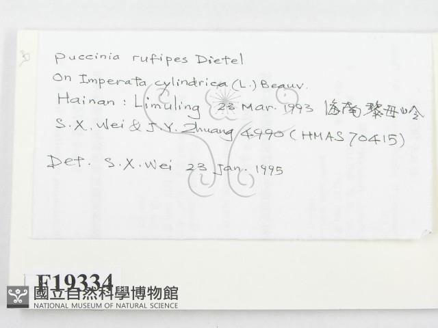 登錄號:F0019334藏品圖，第2張