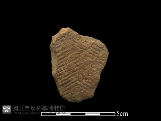 陶片藏品圖，第1張