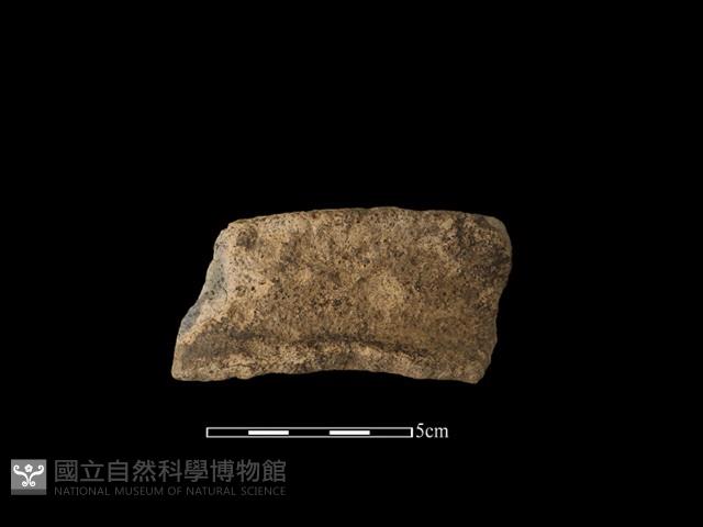 陶罐藏品圖，第2張