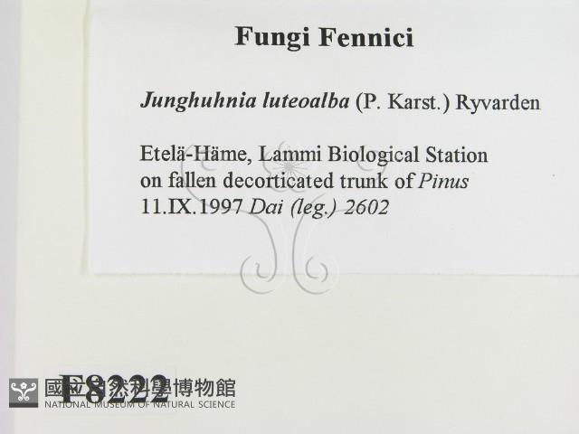 登錄號:F0008222藏品圖，第2張