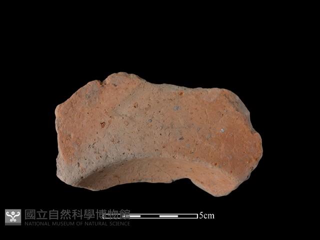 豆形器藏品圖，第1張