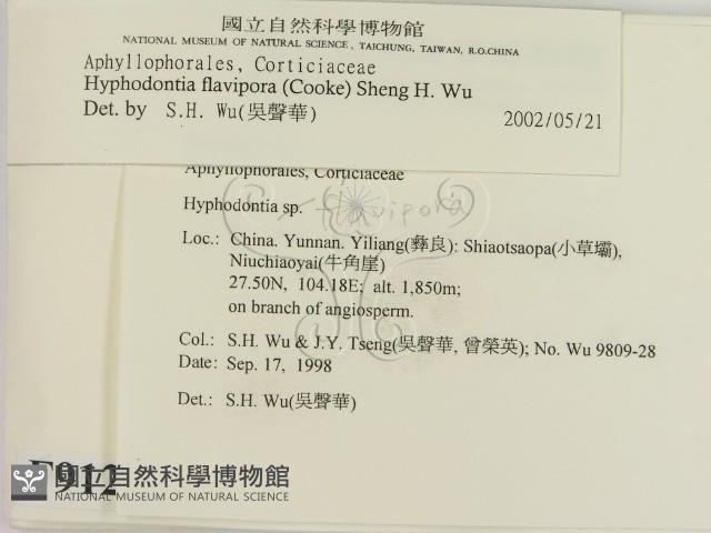 登錄號:F0009122藏品圖，第2張