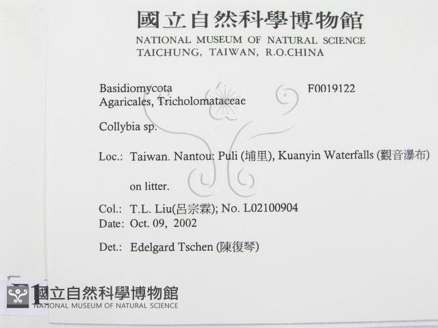 登錄號:F0019122藏品圖，第2張