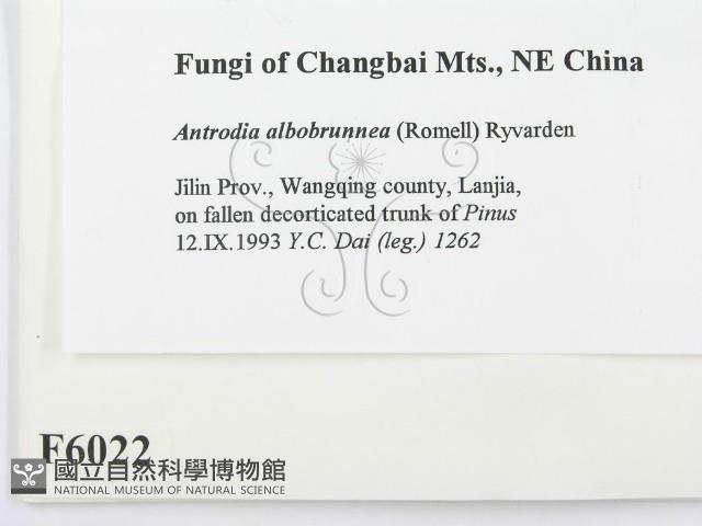 登錄號:F0006022藏品圖，第2張