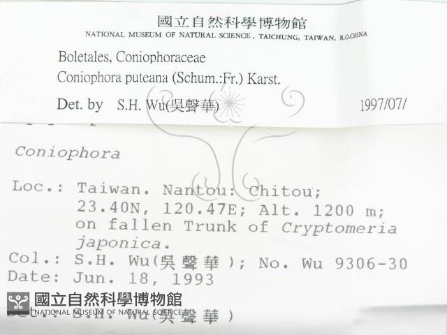 登錄號:F0001022藏品圖，第2張