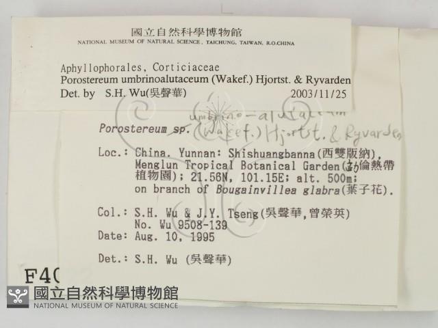 登錄號:F0004022藏品圖，第2張