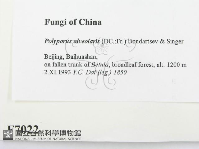 登錄號:F0007022藏品圖，第2張
