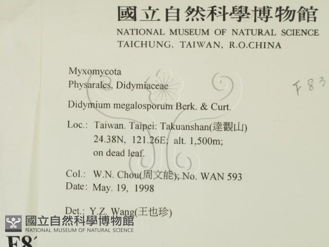 登錄號:F0008322藏品圖，第2張